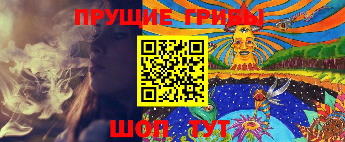 Галлюциногенные грибы Cubensis Кисловодск